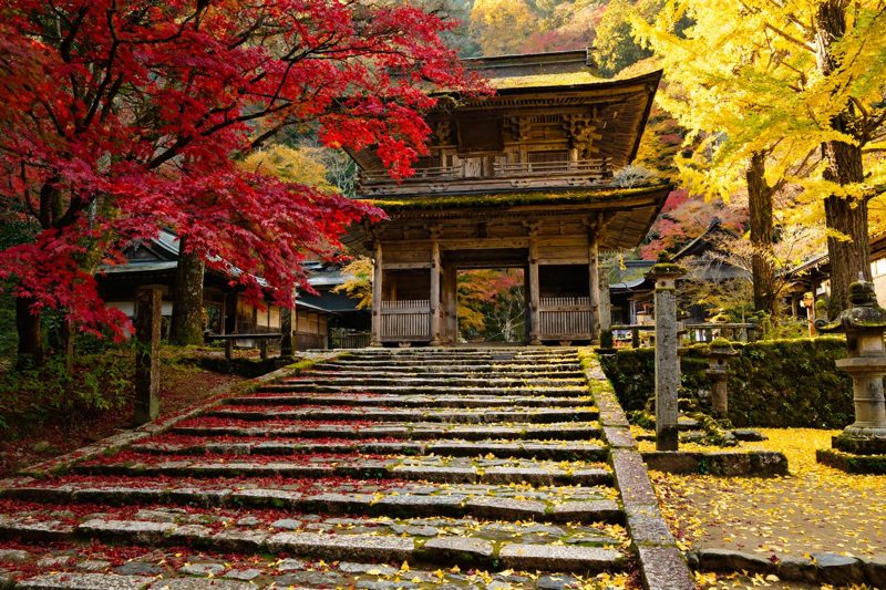 湘南の宿